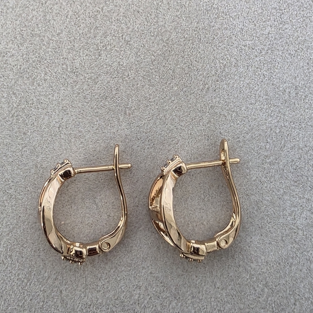 Small Rose Gold Filled D Ring Horsebit Hoop Earrings - Picture 5 of 9